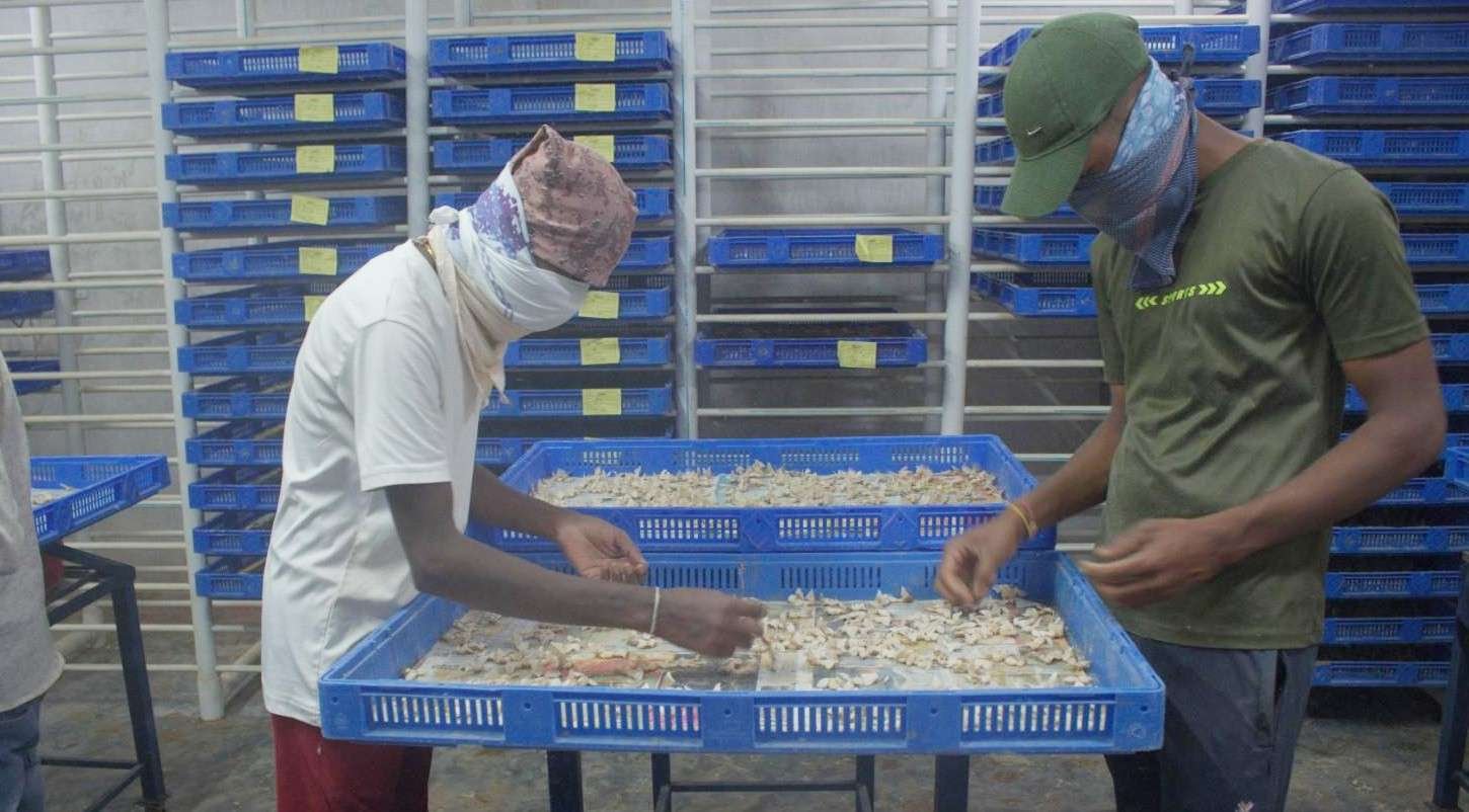 VSSPC Paring Deparing